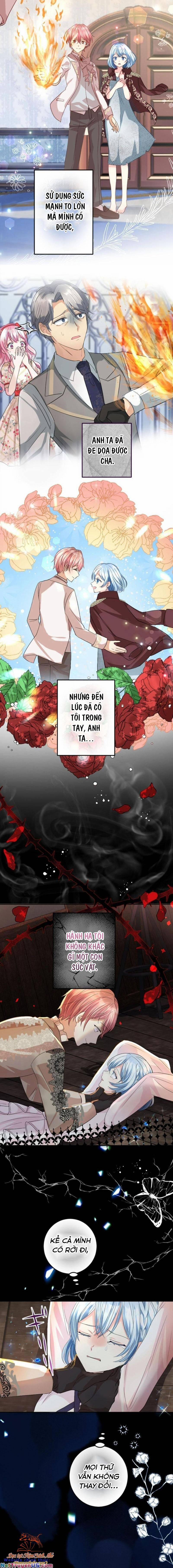 Quý Cô Không Rơi Nước Mắt 12 trang 8