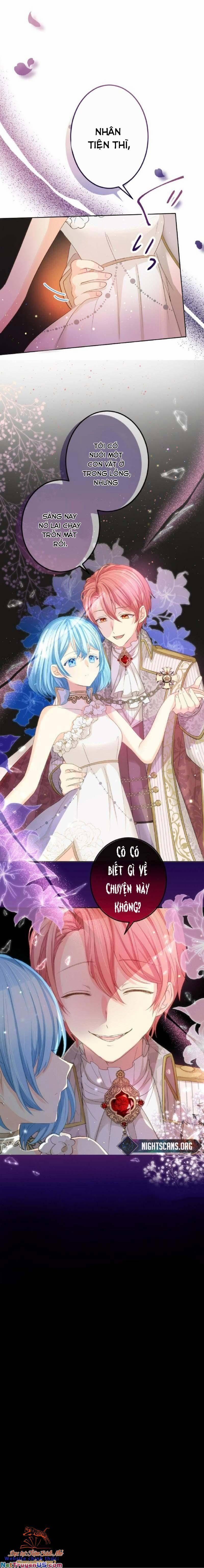 Quý Cô Không Rơi Nước Mắt 14 trang 11