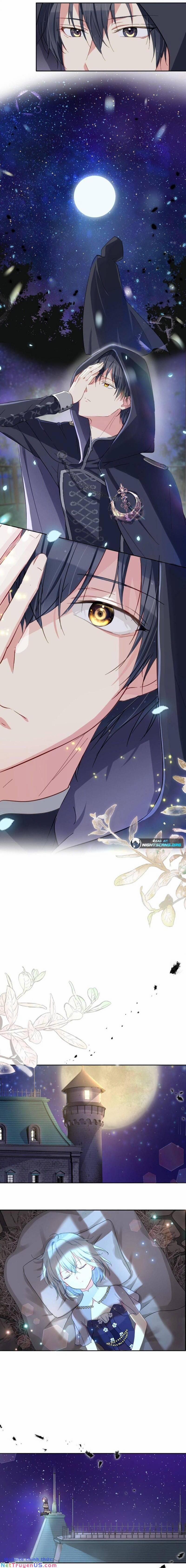 Quý Cô Không Rơi Nước Mắt 8 trang 16