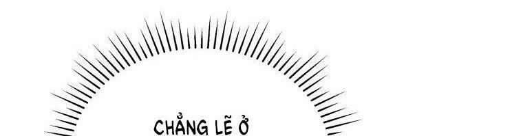 Quý Cô Không Thể Tiếp Cận 61 trang 337