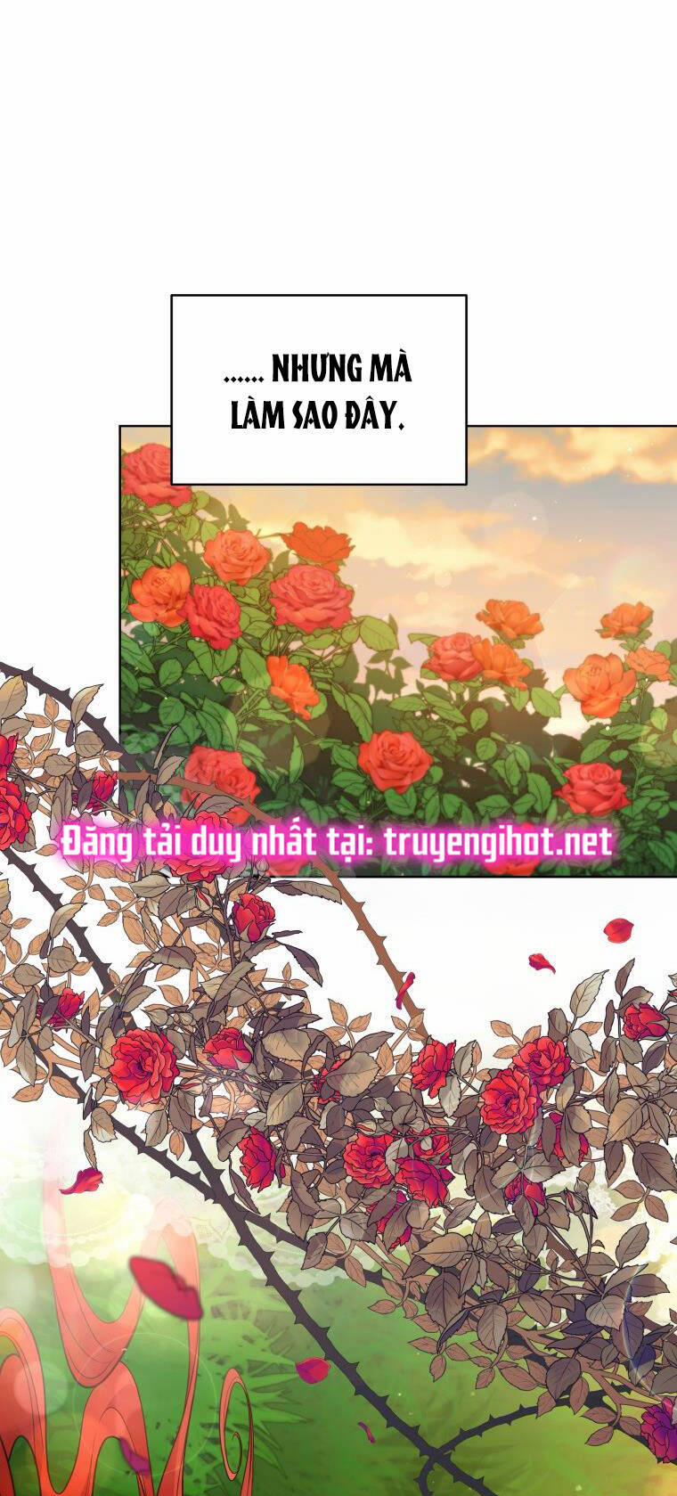 Quý Cô Không Thể Tiếp Cận 66 trang 64