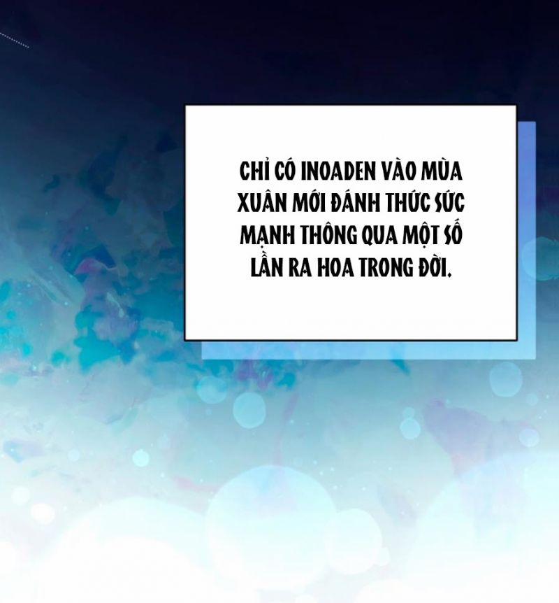 Quý Cô Không Thể Tiếp Cận 85.5 trang 4