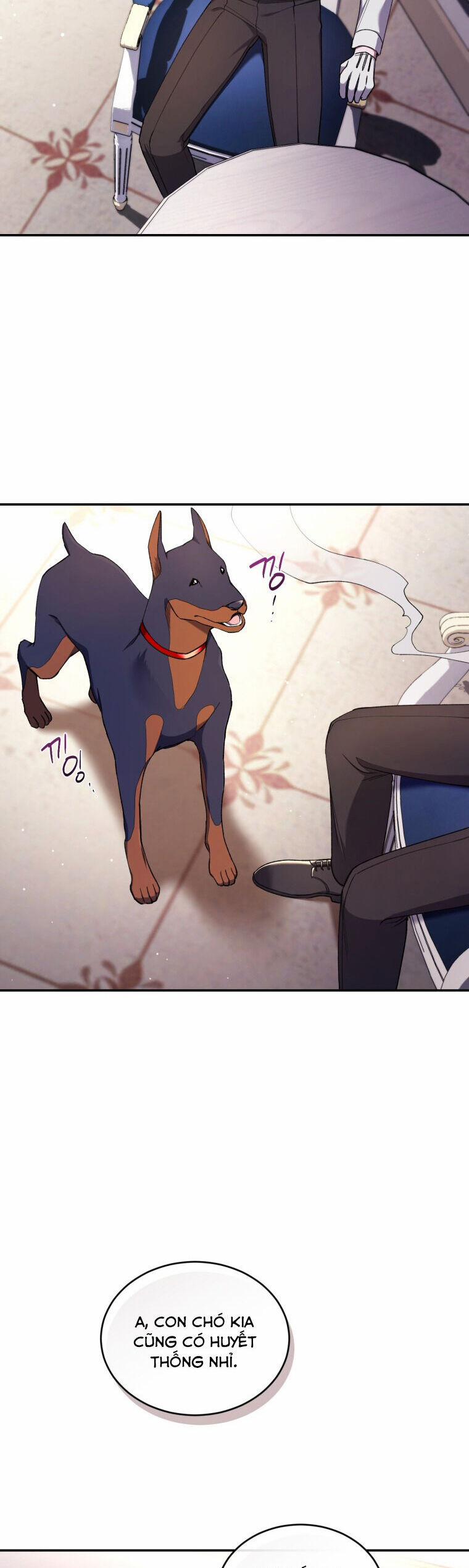 Quý Cô Trở Lại 49 trang 34