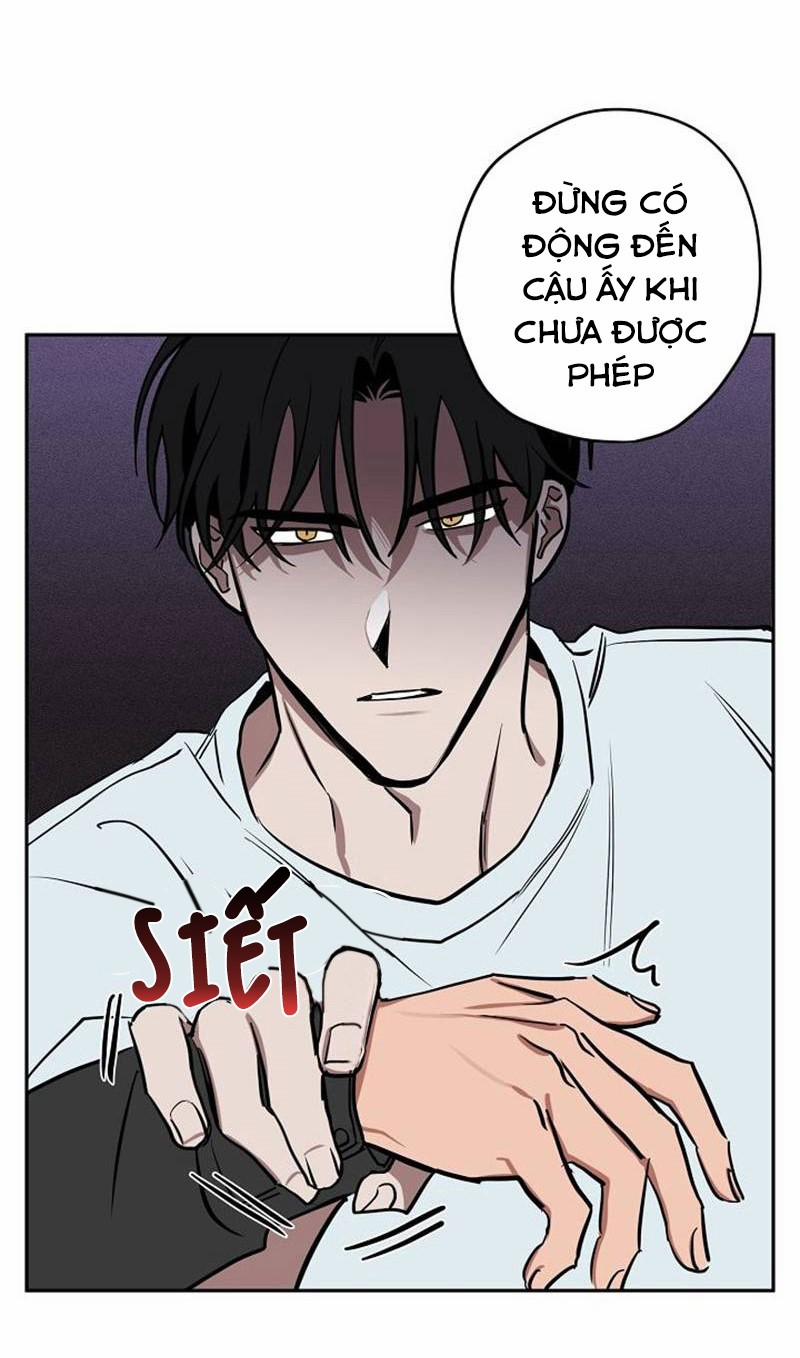 Quỹ đạo của sao Kim 8 trang 24