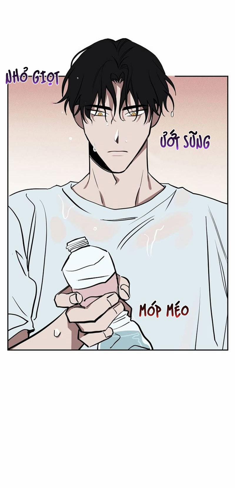 Quỹ đạo của sao Kim 8 trang 3