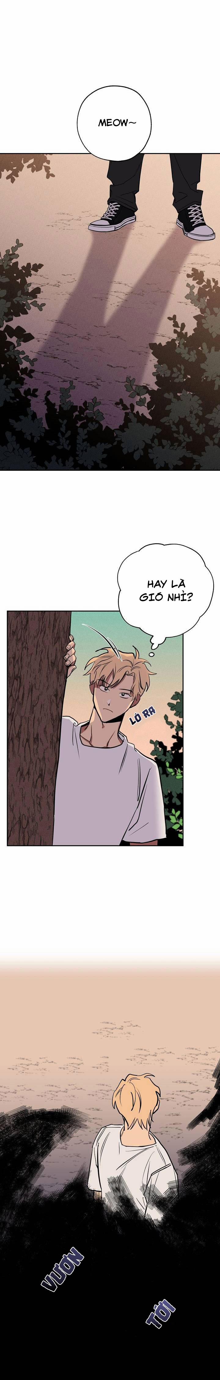 Quỹ đạo của sao Kim 9 trang 16