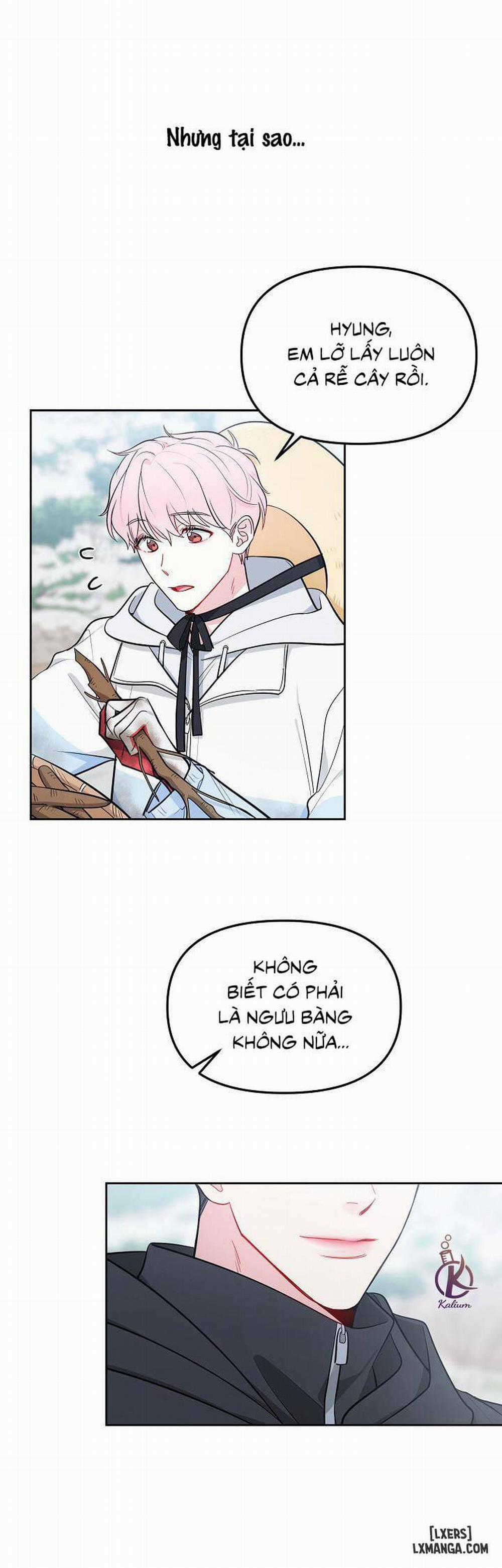 Quỹ đạo của vì sao 19 trang 29