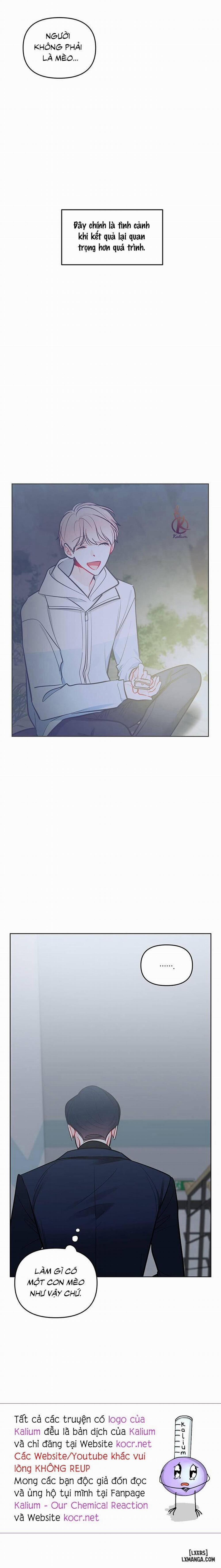 Quỹ đạo của vì sao 50 trang 0