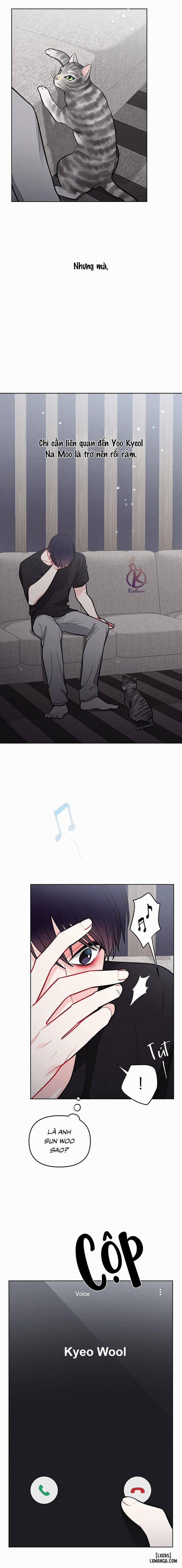 Quỹ đạo của vì sao 54 trang 8