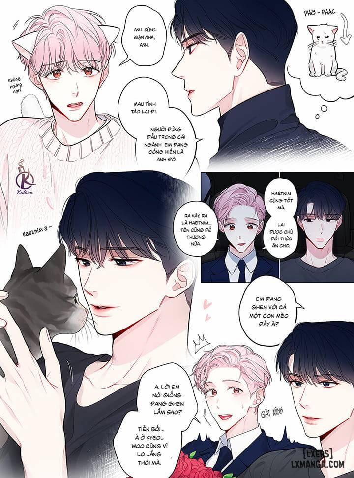 Quỹ đạo của vì sao Oneshot 2 trang 1