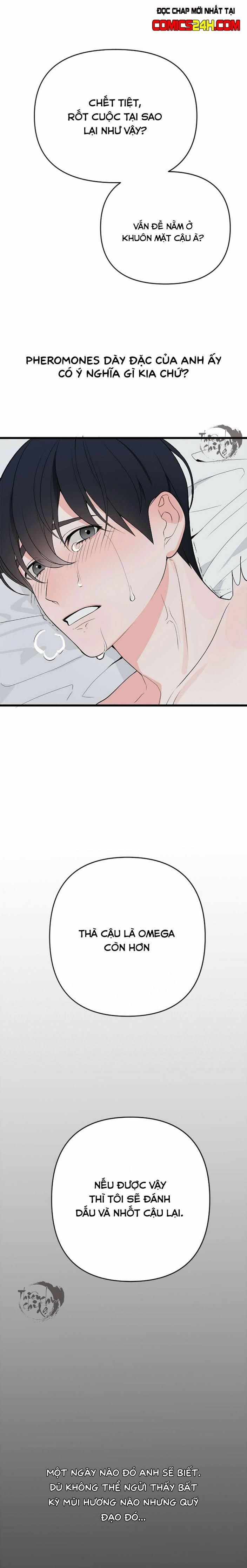 Quỹ Đạo Vô Hình 0 Giới thiệu trang 4