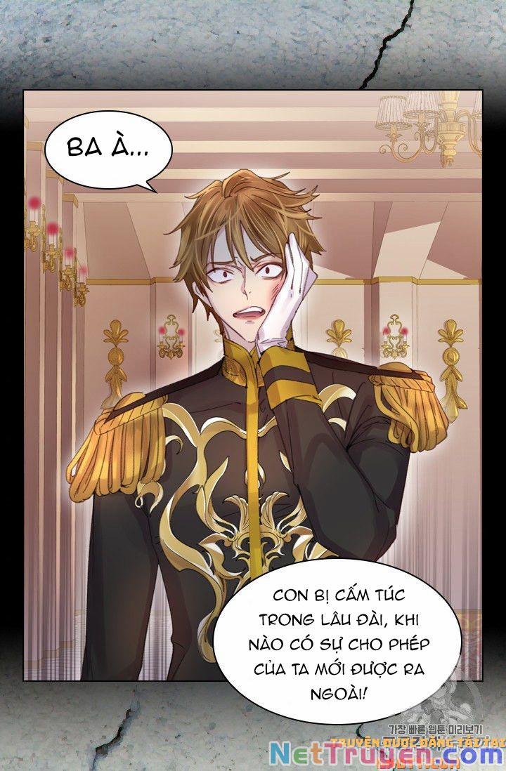 Quy Luật Sinh Tồn Của Nữ Phụ 24 trang 67