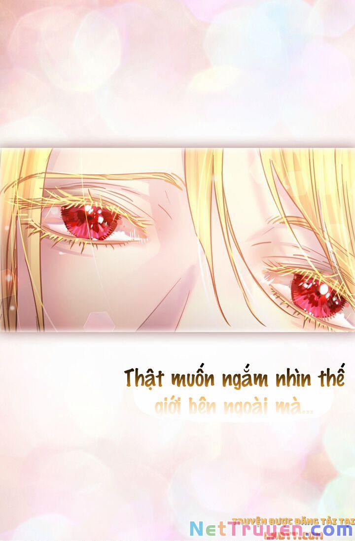 Quy Luật Sinh Tồn Của Nữ Phụ 32 trang 52