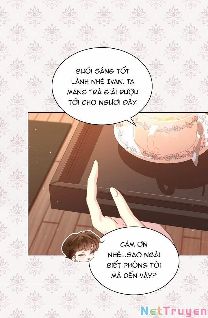 Quy Luật Sinh Tồn Của Nữ Phụ 40 trang 11