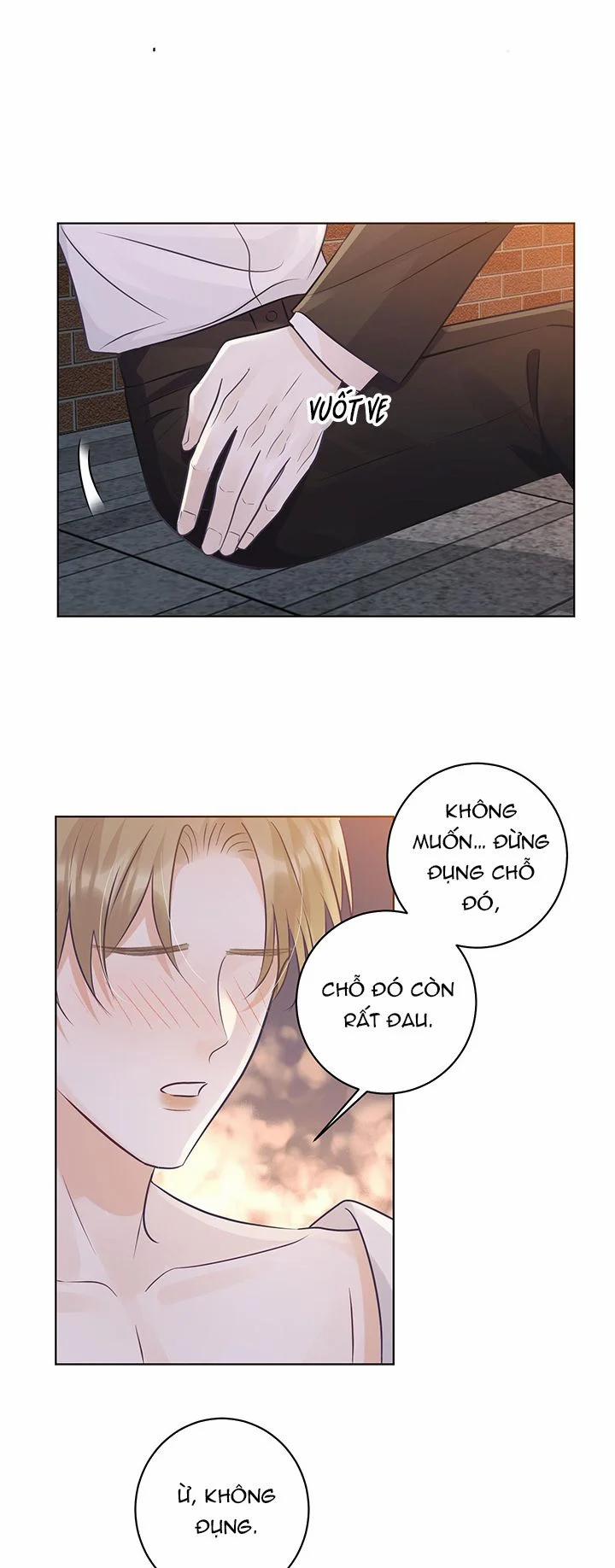 Quy Luật Thăm Dò 28 trang 15