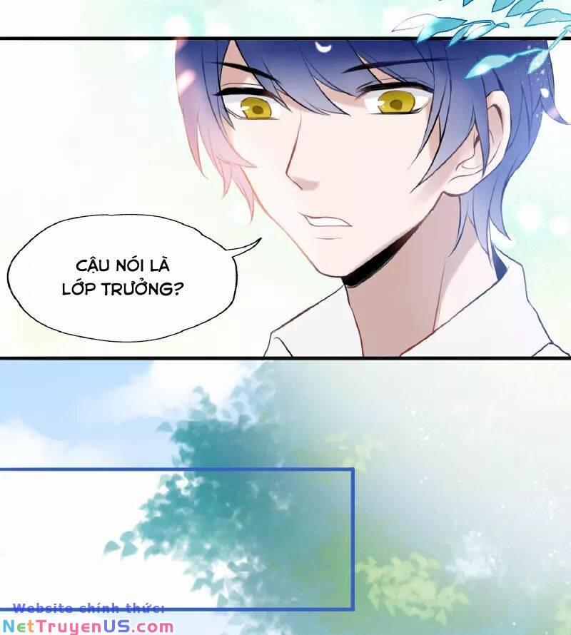 Quy Luật Tình Yêu 10 trang 13