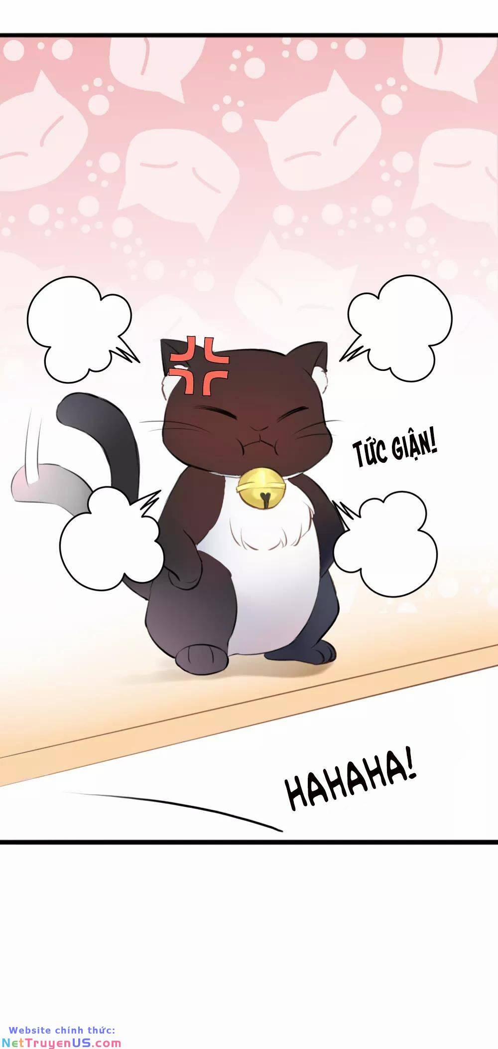 Quy Luật Tình Yêu 12 trang 35