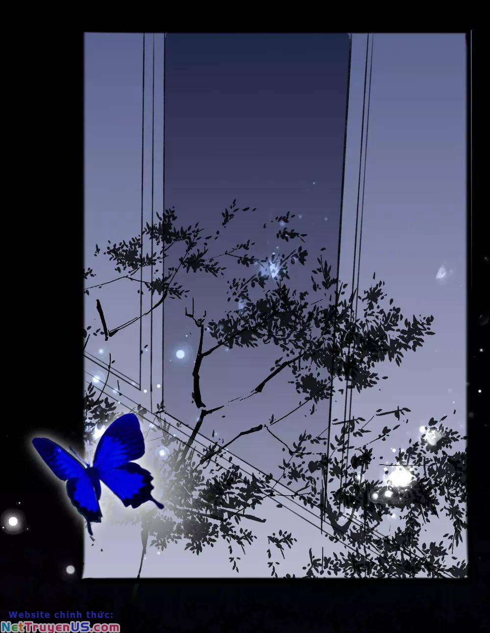 Quy Luật Tình Yêu 14 trang 13