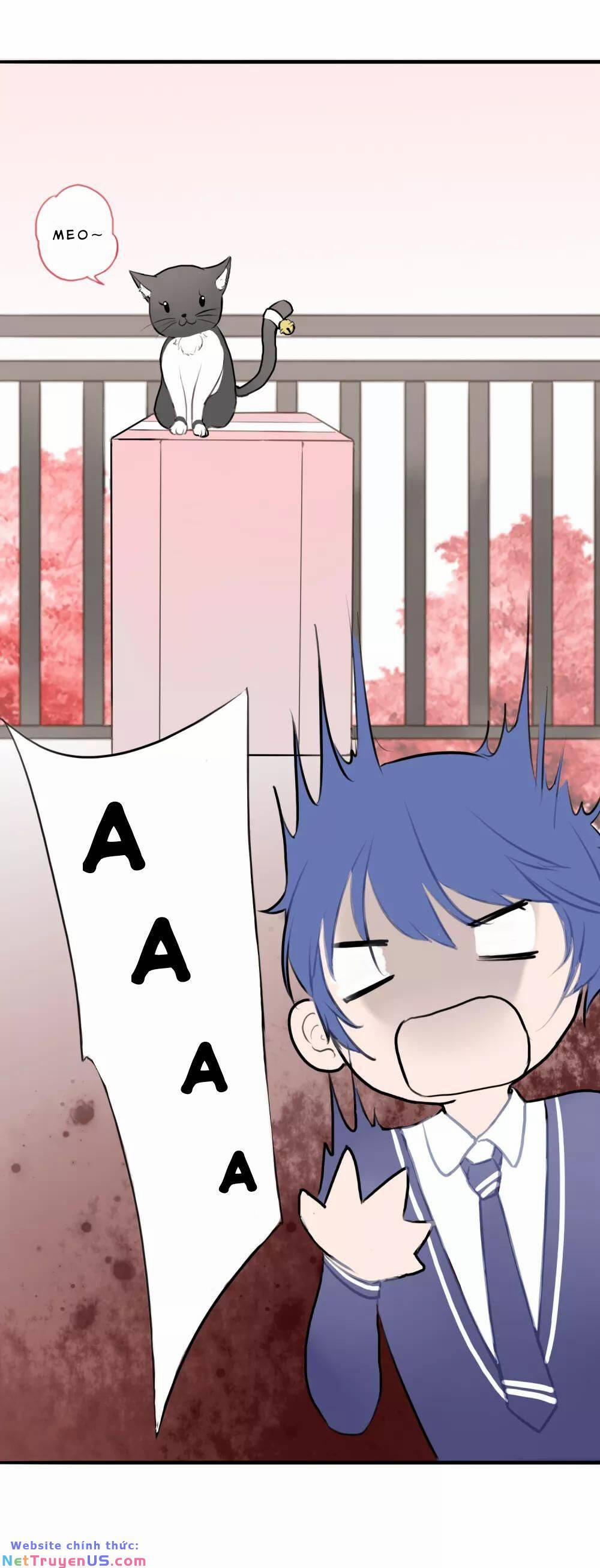 Quy Luật Tình Yêu 4 trang 25