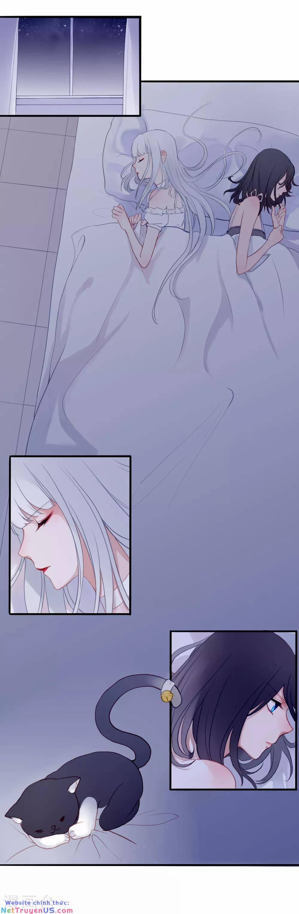 Quy Luật Tình Yêu 5 trang 1