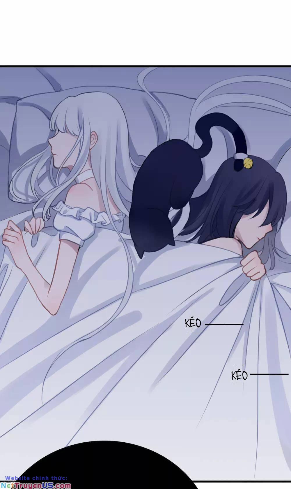 Quy Luật Tình Yêu 5 trang 13