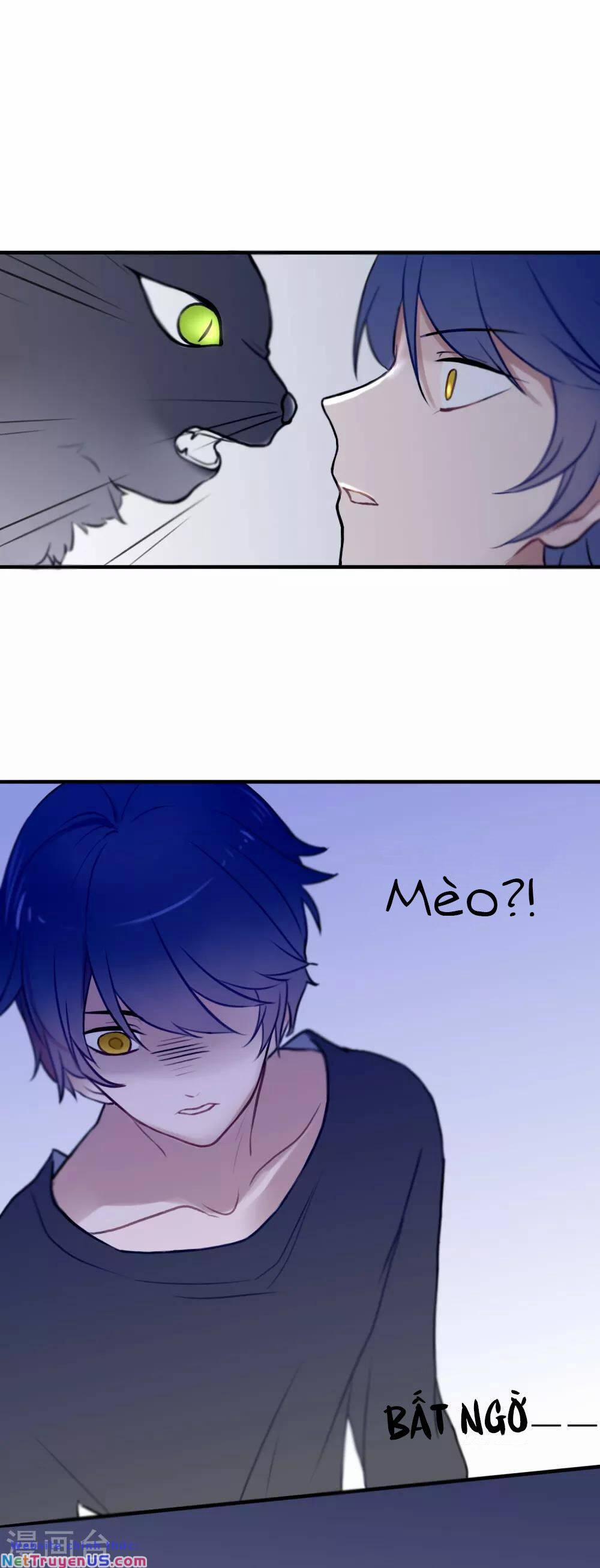 Quy Luật Tình Yêu 5 trang 28