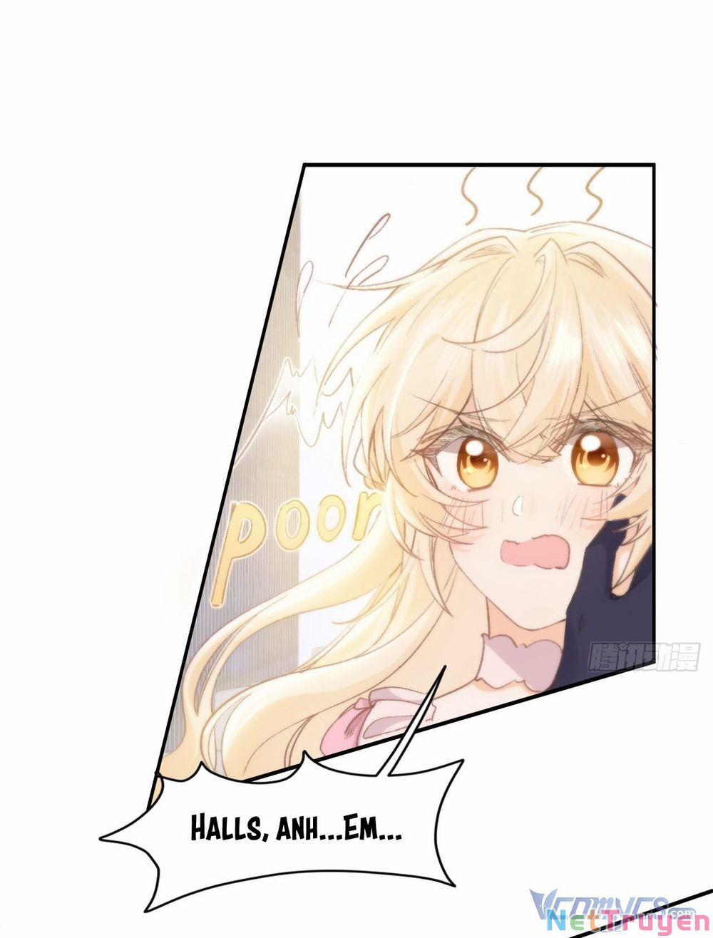 Quy Luật Yêu Đương Của Hải Vương 13 trang 0