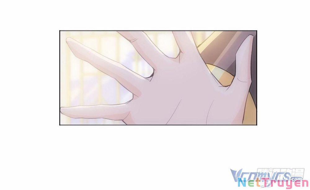 Quy Luật Yêu Đương Của Hải Vương 8 trang 17