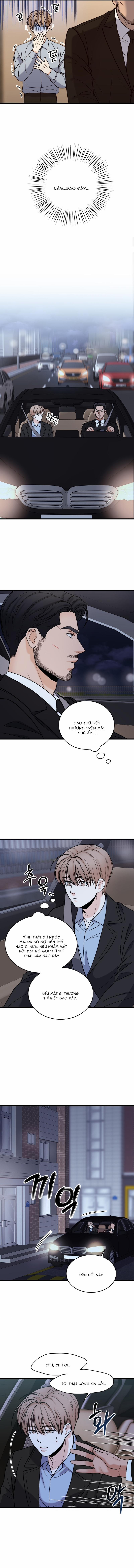 Quý Ông Tàn Bạo Của Tôi 4 trang 11