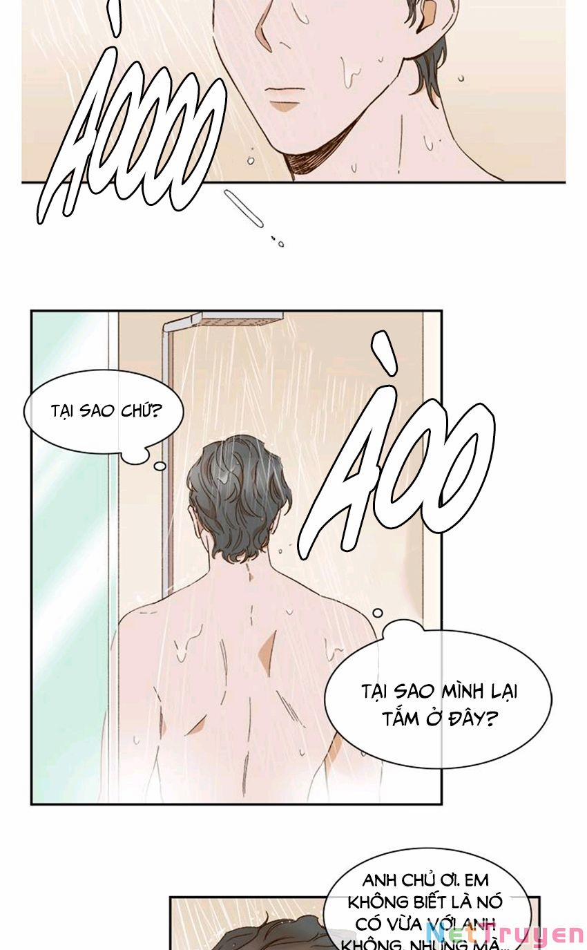 Quỷ Sứ Số 4 61 trang 5