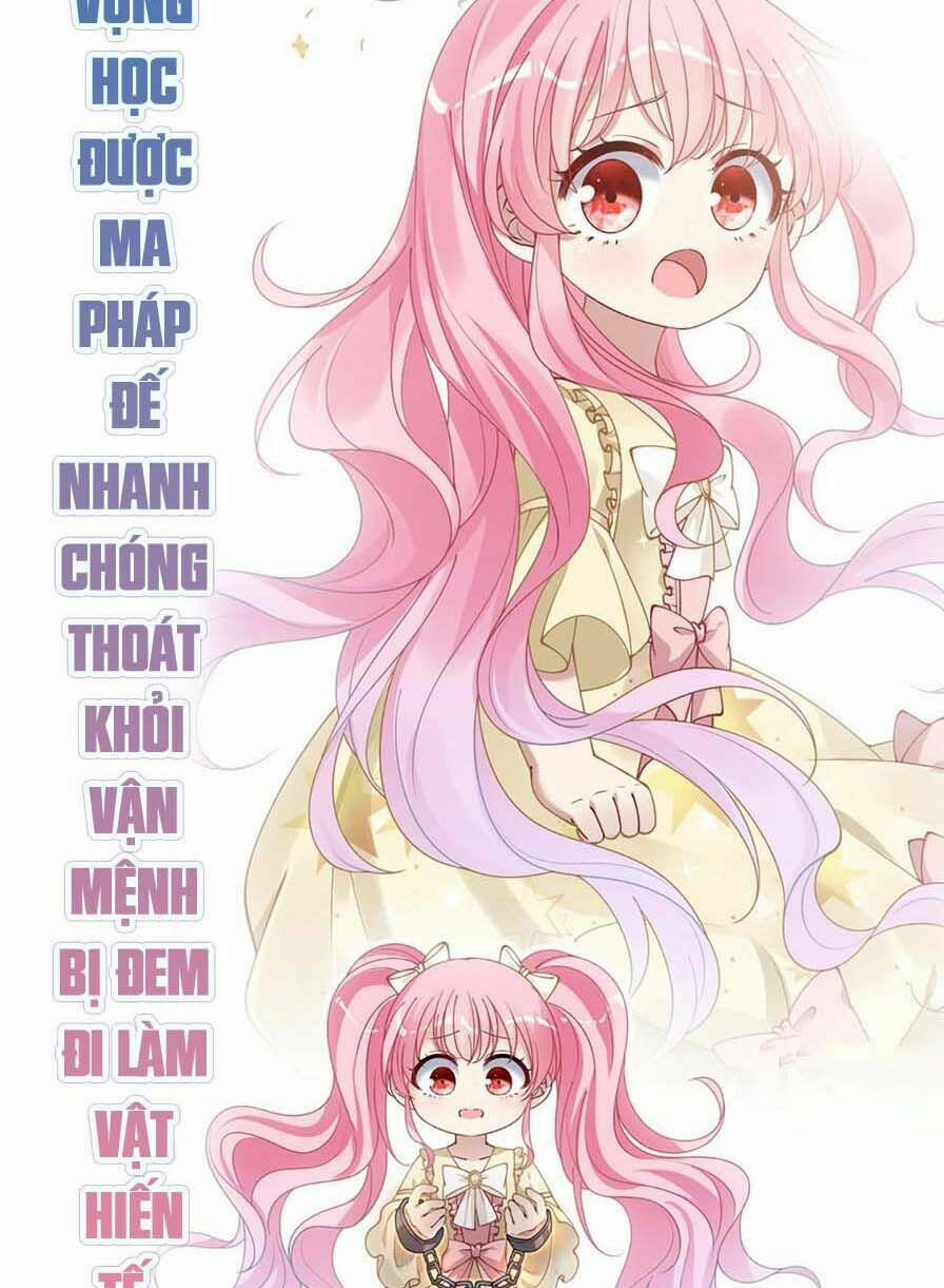 Quy Tắc Sinh Tồn Của Công Chúa 41 trang 24