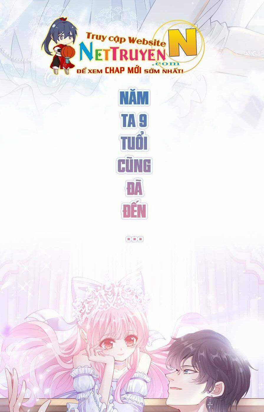 Quy Tắc Sinh Tồn Của Công Chúa 41 trang 33