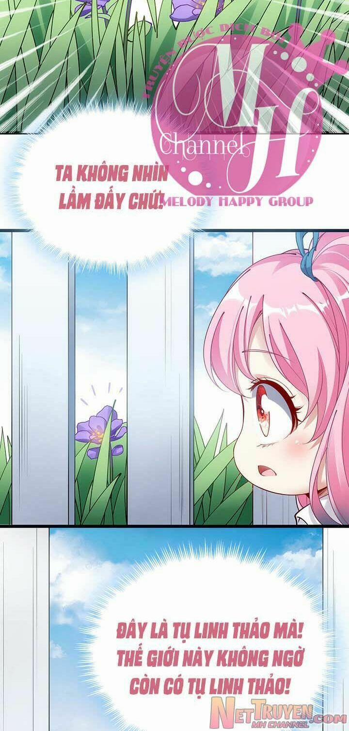 Quy Tắc Sinh Tồn Của Công Chúa 5 trang 15