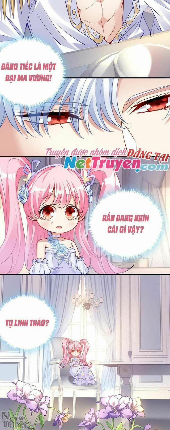 Quy Tắc Sinh Tồn Của Công Chúa 7 trang 29