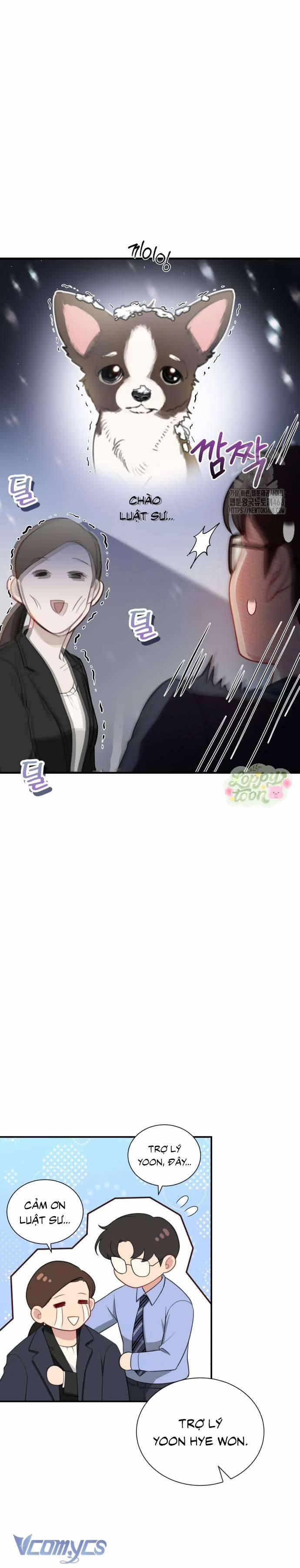 Quyền Lực Của Thư Ký 6 trang 13