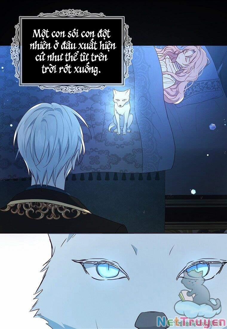 Quyến Rũ Papa Của Nhân Vật Phản Diện 76 trang 20