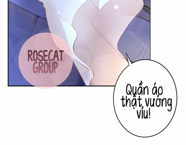 Quyền Thiểu, Nhĩ Lão Bà Yêu Bào Liễu 1 trang 52