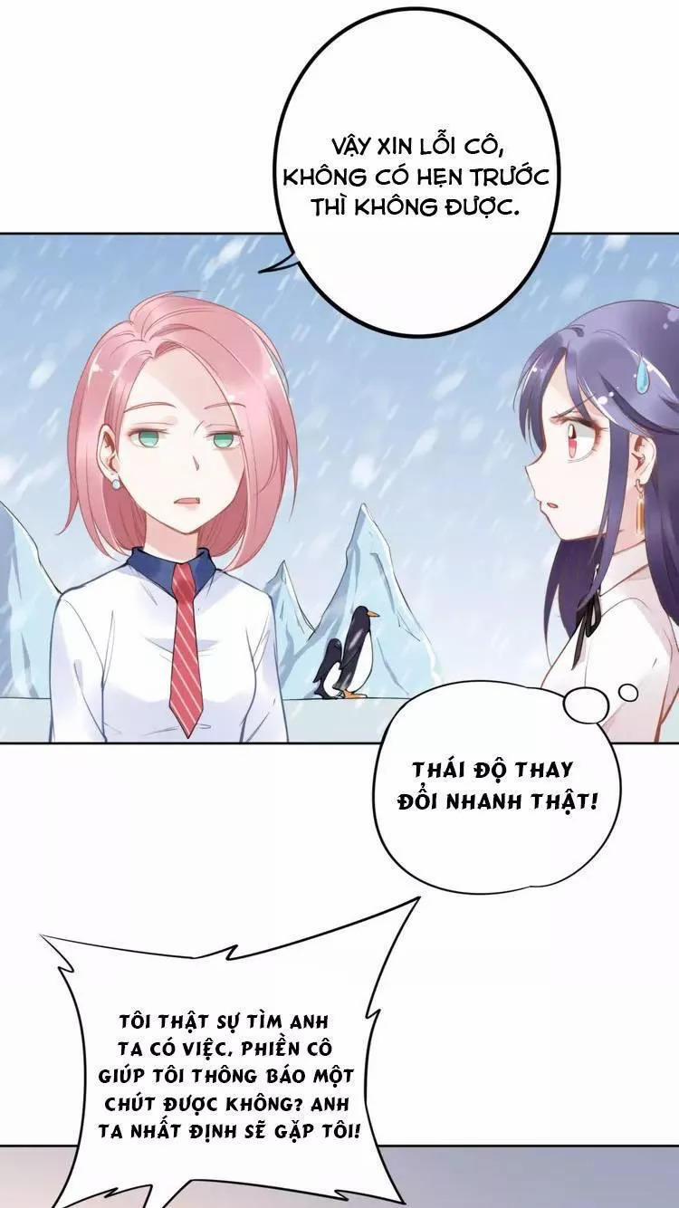 Quyền Thiểu, Nhĩ Lão Bà Yêu Bào Liễu 11 trang 5