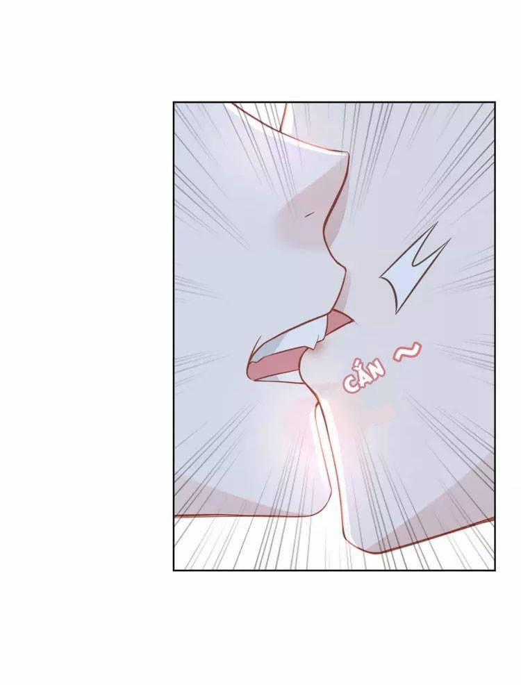 Quyền Thiểu, Nhĩ Lão Bà Yêu Bào Liễu 12 trang 46