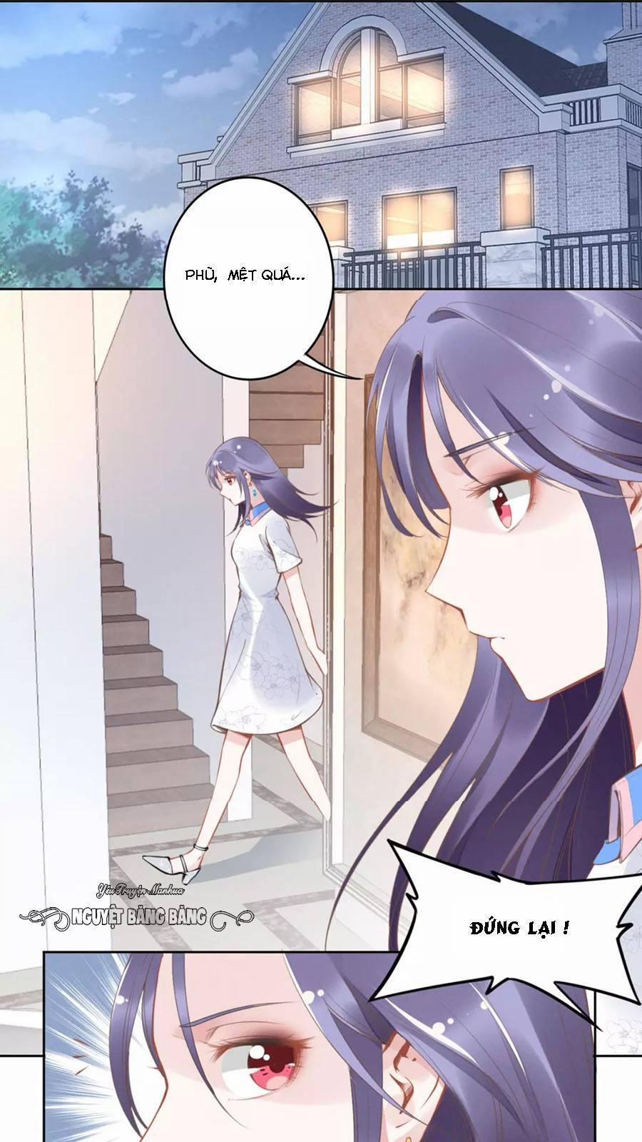 Quyền Thiểu, Nhĩ Lão Bà Yêu Bào Liễu 14 trang 1