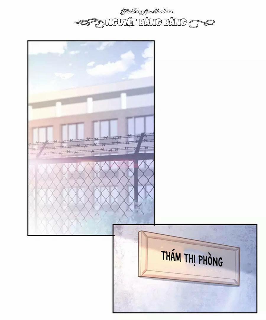 Quyền Thiểu, Nhĩ Lão Bà Yêu Bào Liễu 17 trang 1