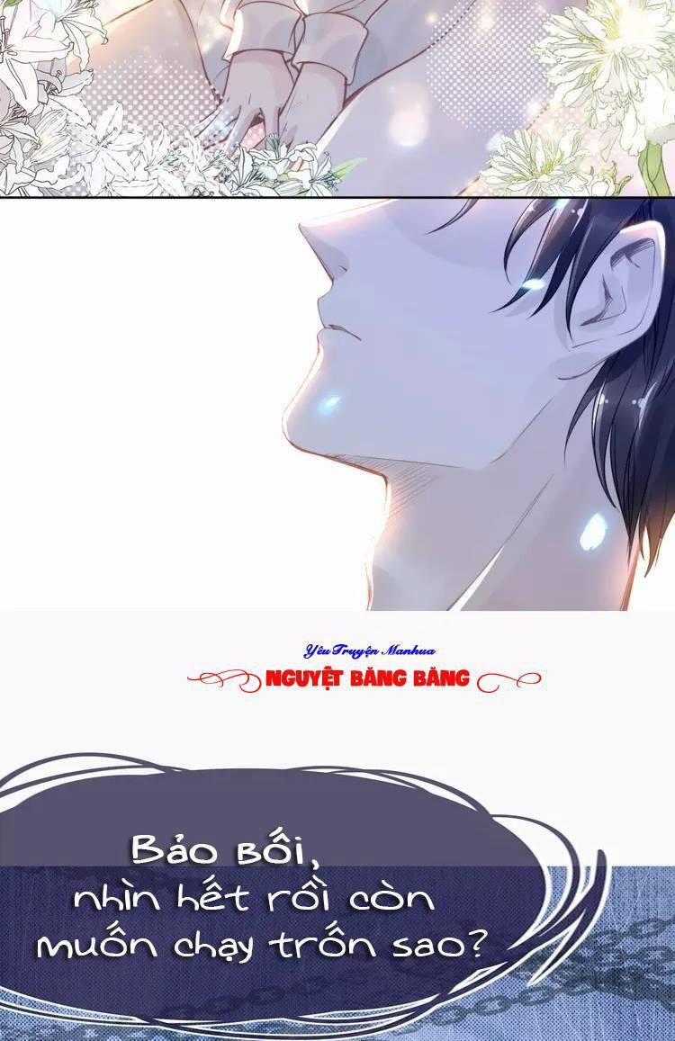 Quyền Thiểu, Nhĩ Lão Bà Yêu Bào Liễu 17 trang 45