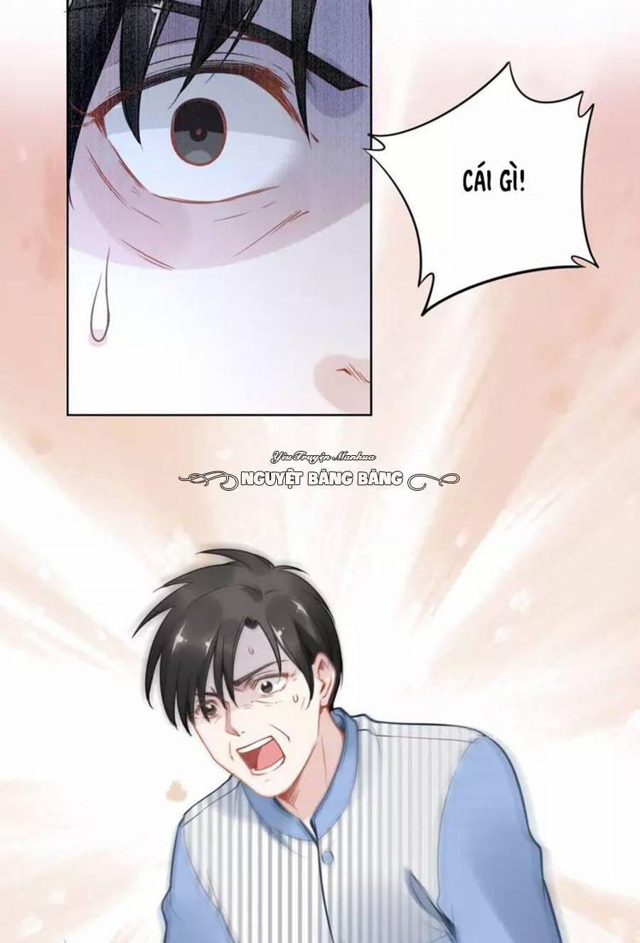 Quyền Thiểu, Nhĩ Lão Bà Yêu Bào Liễu 17 trang 9