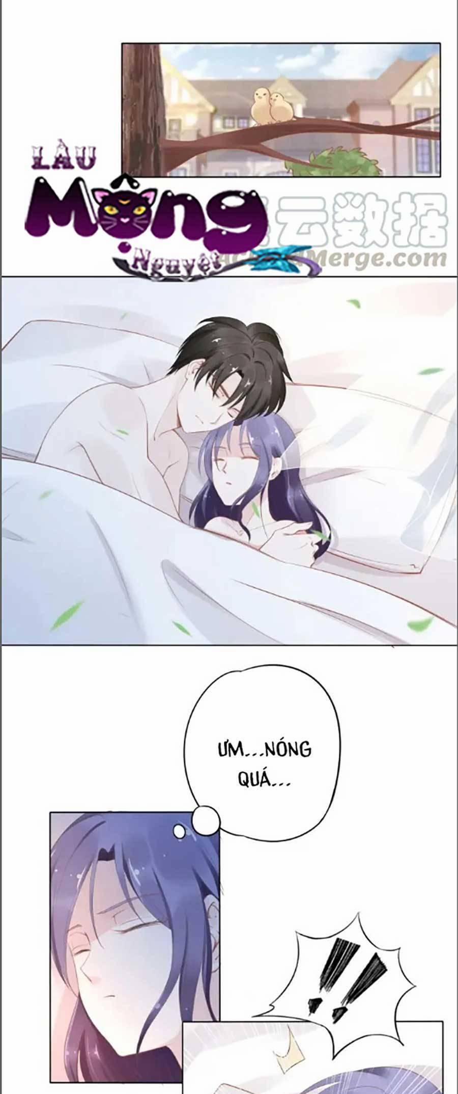 Quyền Thiểu, Nhĩ Lão Bà Yêu Bào Liễu 22 trang 0