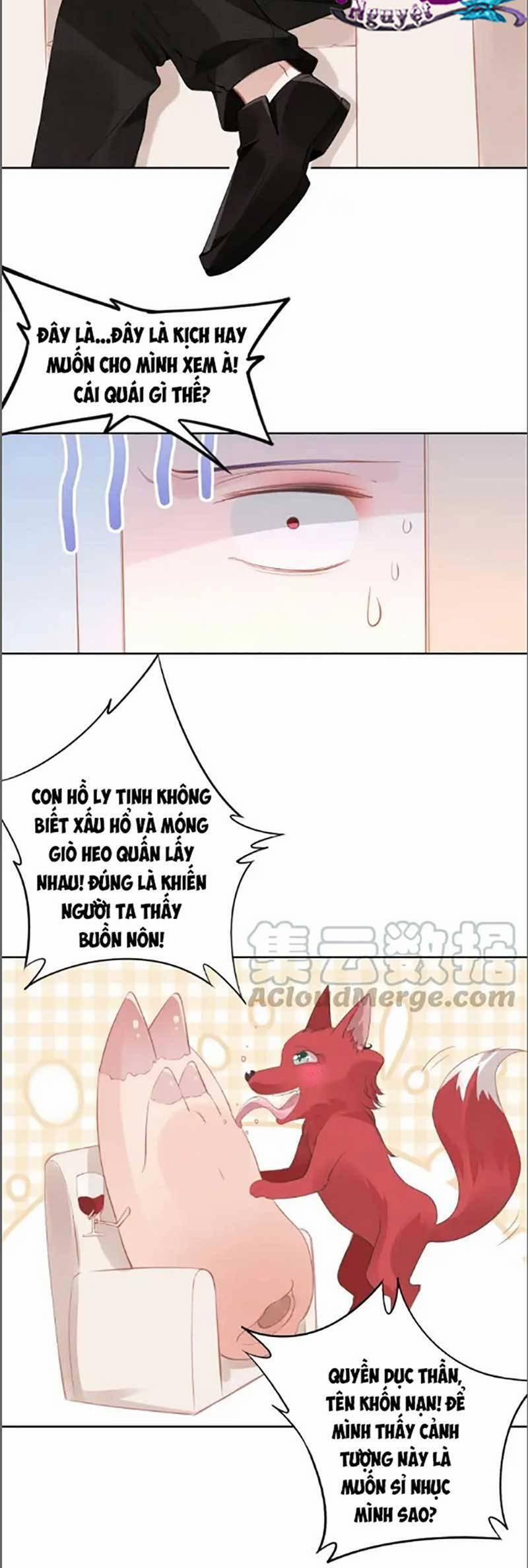 Quyền Thiểu, Nhĩ Lão Bà Yêu Bào Liễu 26 trang 10