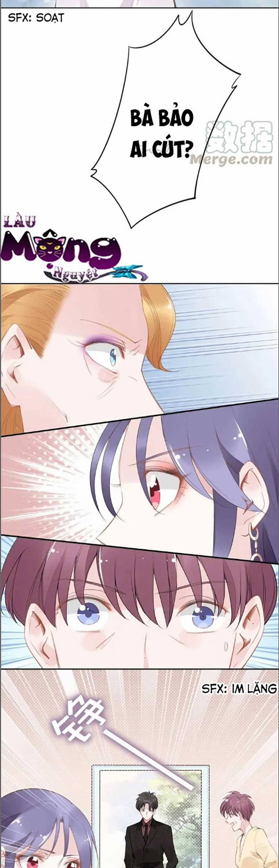 Quyền Thiểu, Nhĩ Lão Bà Yêu Bào Liễu 27 trang 25