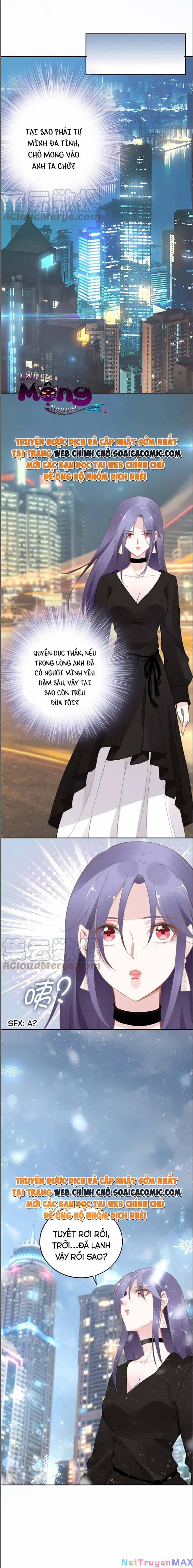 Quyền Thiểu, Nhĩ Lão Bà Yêu Bào Liễu 31 trang 3