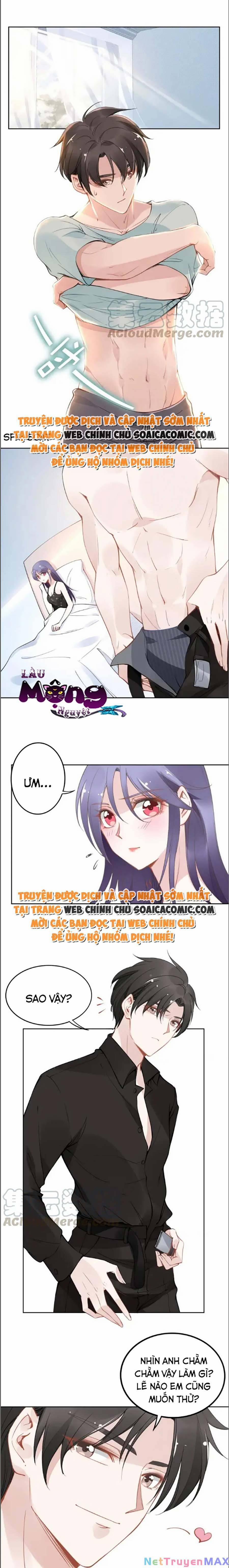 Quyền Thiểu, Nhĩ Lão Bà Yêu Bào Liễu 33 trang 0