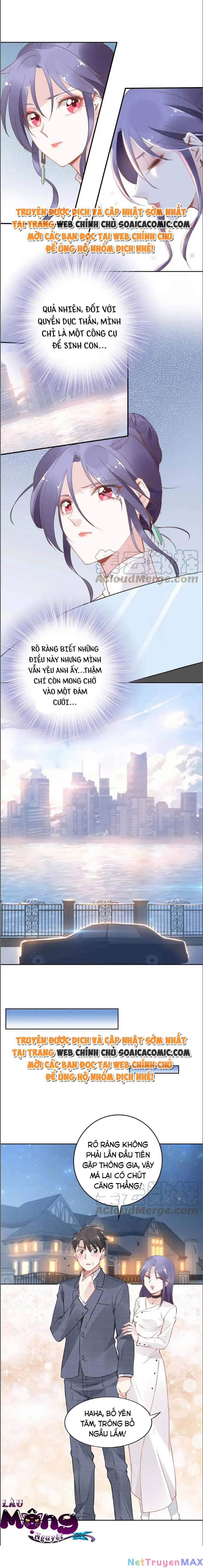 Quyền Thiểu, Nhĩ Lão Bà Yêu Bào Liễu 34 trang 3