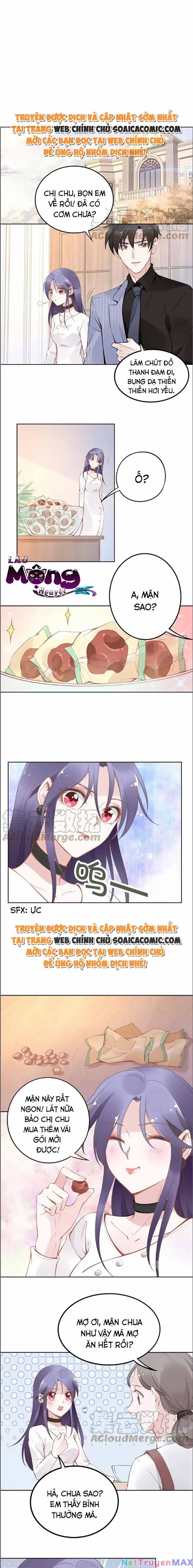 Quyền Thiểu, Nhĩ Lão Bà Yêu Bào Liễu 36 trang 0